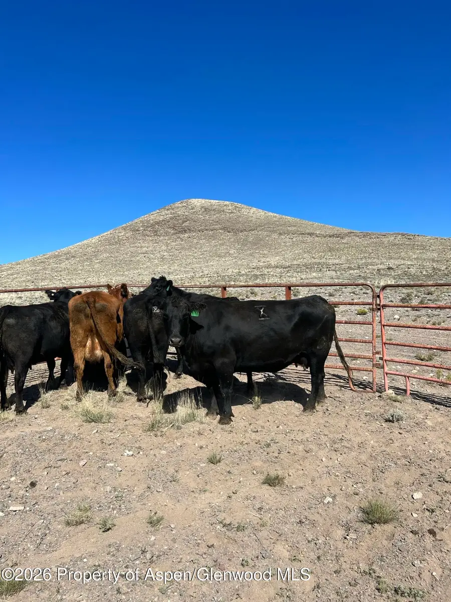 Tbd Costilla County Parcel #400022, Blanca, CO 81123 - #2