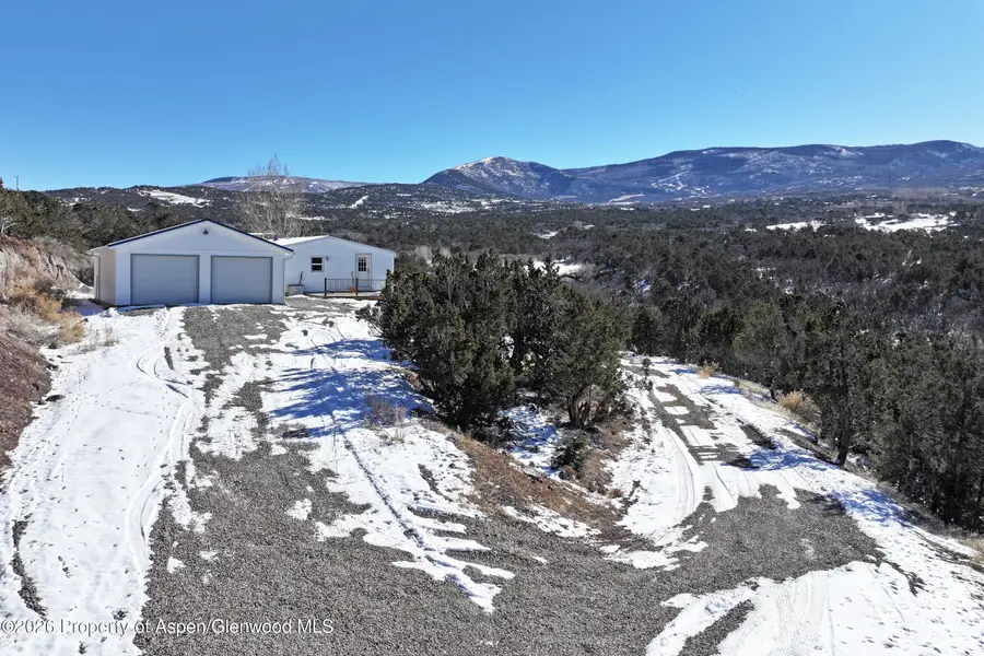 9972 52 1/2 Road, Molina, CO 81646 - #2