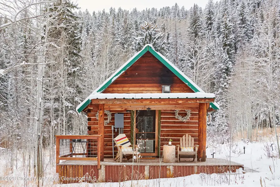 290 Ruedi Creek Road, Basalt, CO 81621 - #3