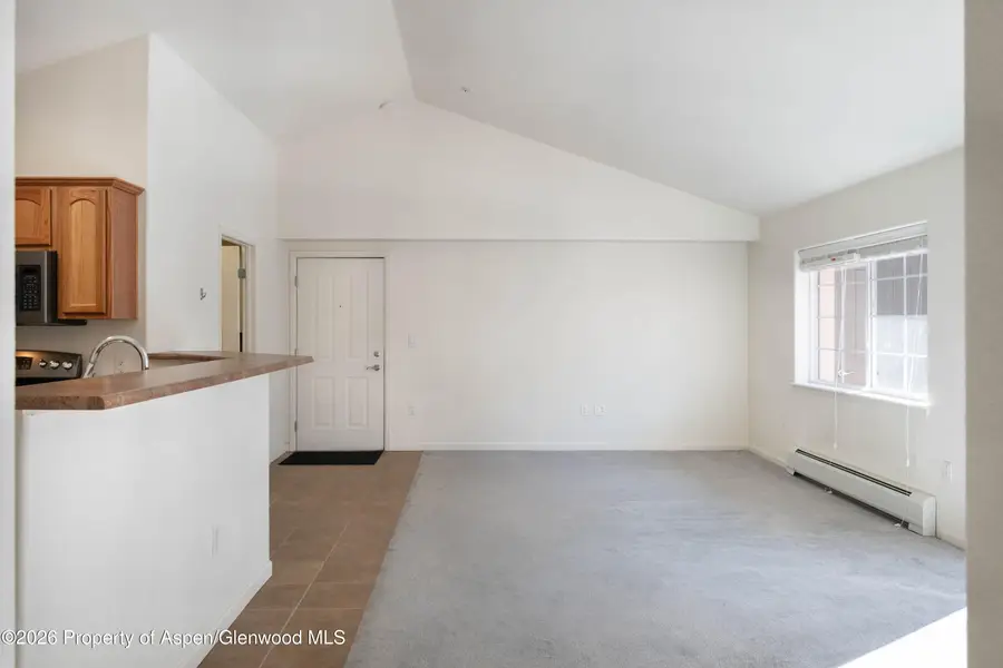 633 River View Drive #1008, New Castle, CO 81647 - Image #2