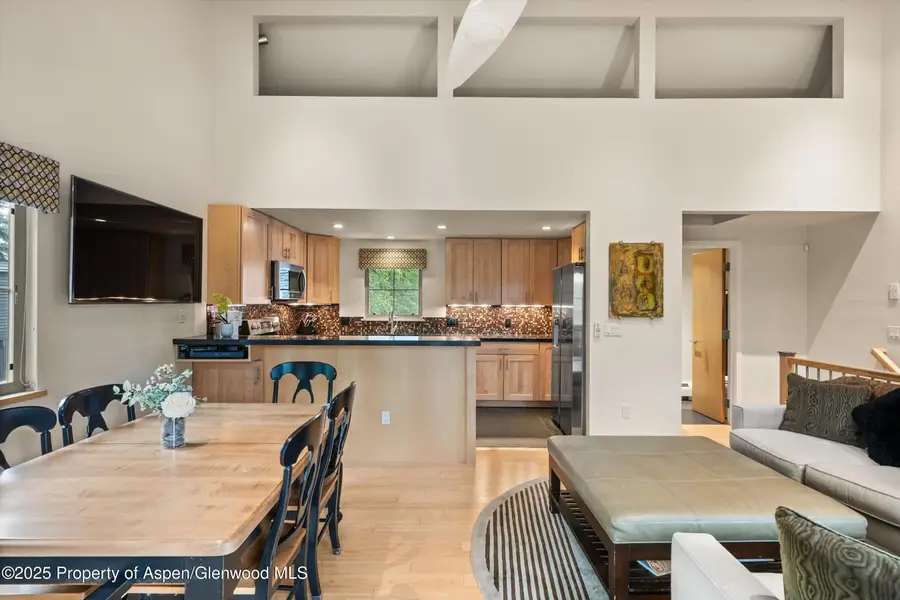 322 Park Avenue #Unit 1, Aspen, CO 81611 - #3