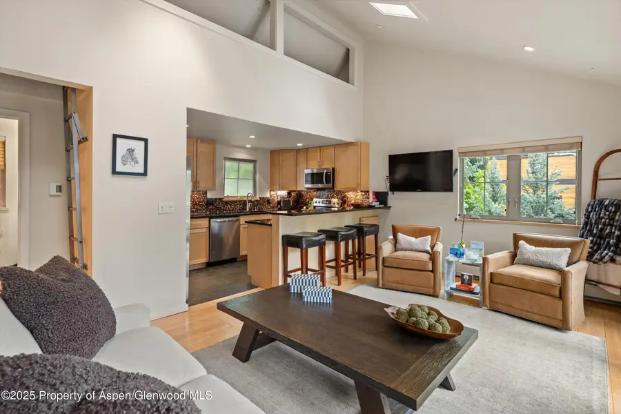 322 Park Avenue #Unit 2, Aspen, CO 81611 - #2