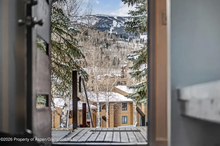 35 Lower Woodbridge Road #O155, Snowmass Village, CO 81615 - #3