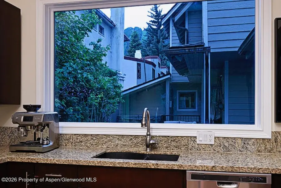 213 W Bleeker Street, Aspen, CO 81611 - #3