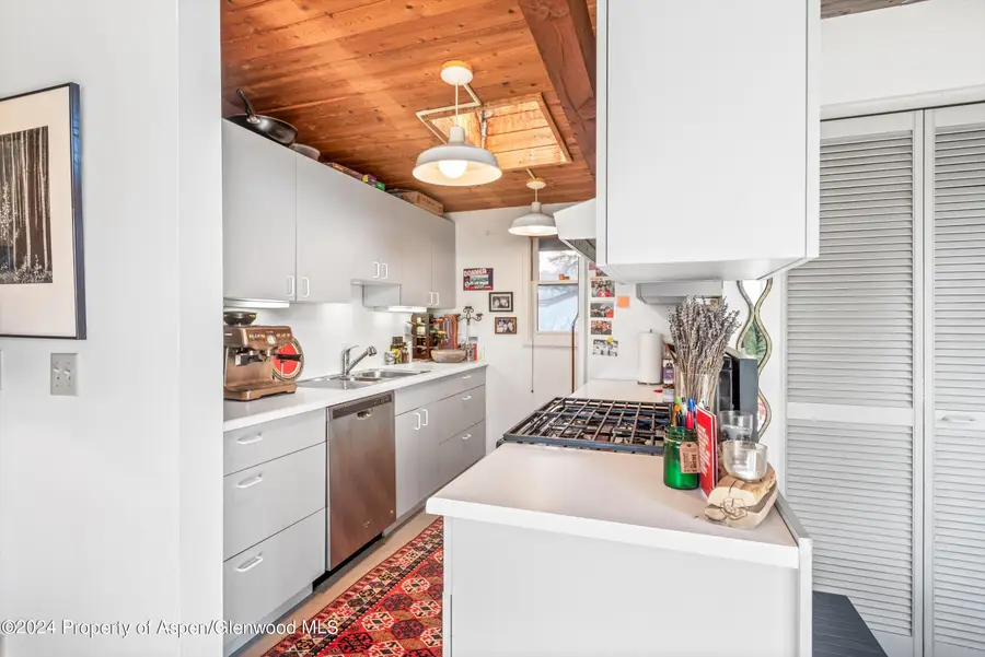 1227 Mountain View Drive #Units 1 & 2, Aspen, CO 81611 - #3