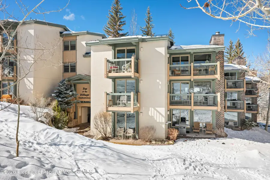 855 Carriage Way #303, Snowmass Village, CO 81615 - #3