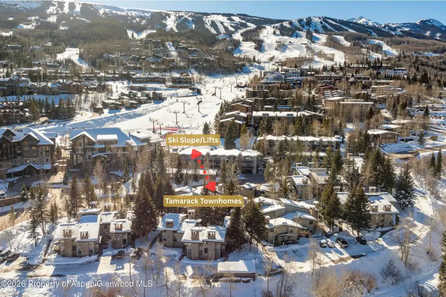 135 Carriage Way #16, Snowmass Village, CO 81615 - #2