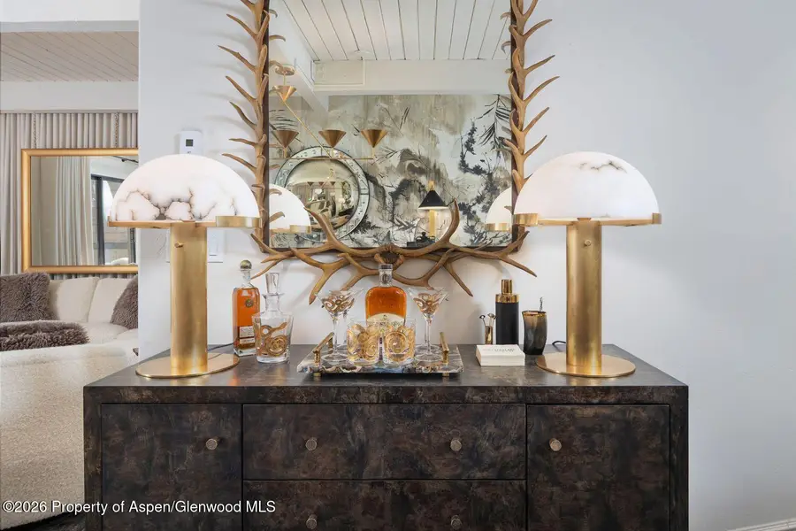 610 S West End Street #D201, Aspen, CO 81611 - #3