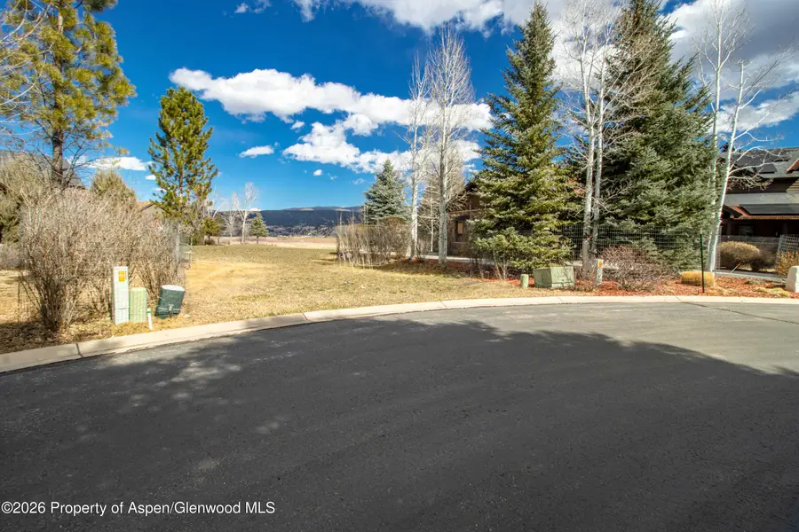 28 Spring Loop, Carbondale, CO 81623 - #3