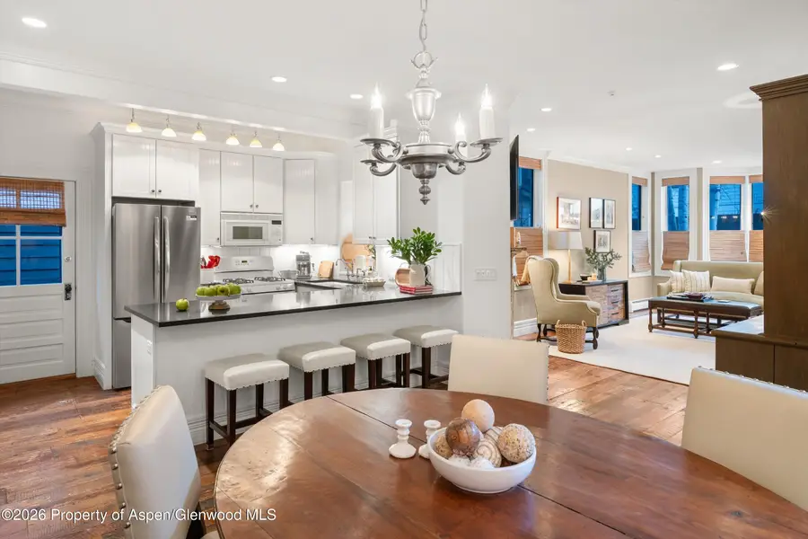 215 W Bleeker Street, Aspen, CO 81611 - #3