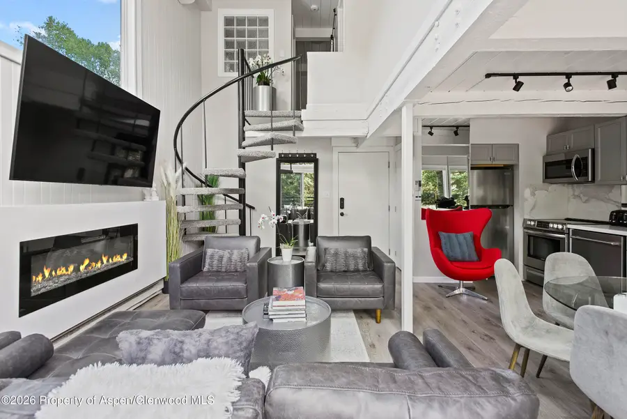 1024 E Cooper Avenue #2, Aspen, CO 81611 - #2