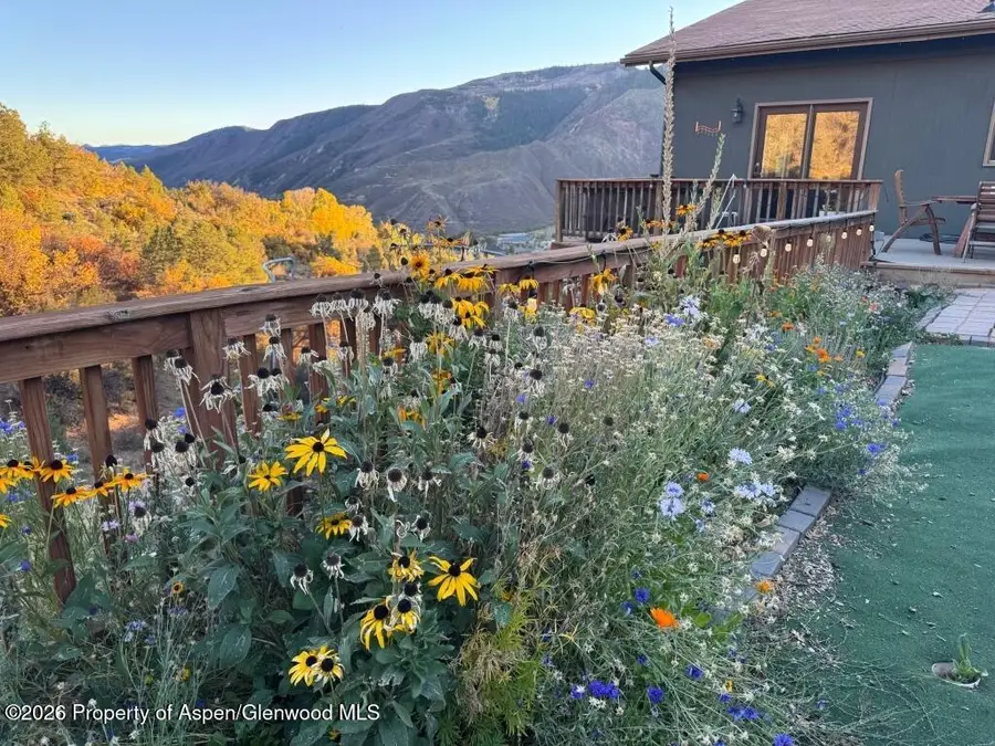 824 N Traver Trail, Glenwood Springs, CO 81601 - #2