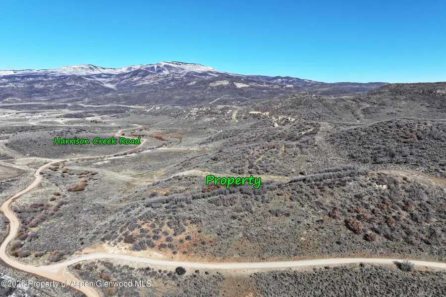 Tbd Harrison Gulch Road, Collbran, CO 81624 - #3