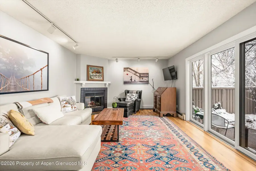 501 Wren Court, Basalt, CO 81621 - #2