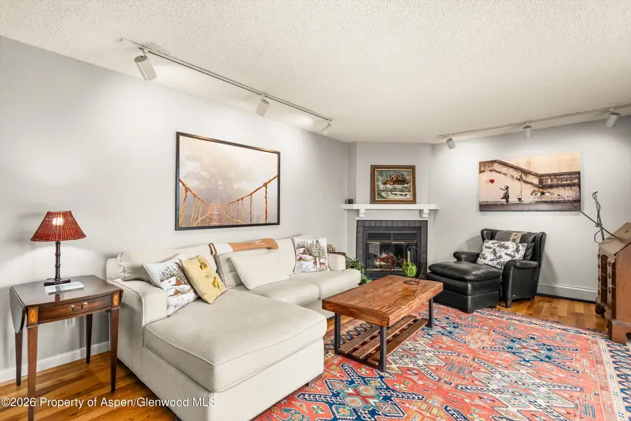 501 Wren Court, Basalt, CO 81621 - #3