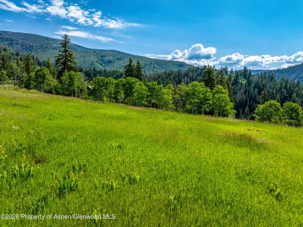 1207 Mclaughlin Lane, Basalt, CO 81621