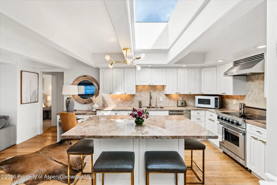 901 E Hyman Avenue #11, Aspen, CO 81611 - #3