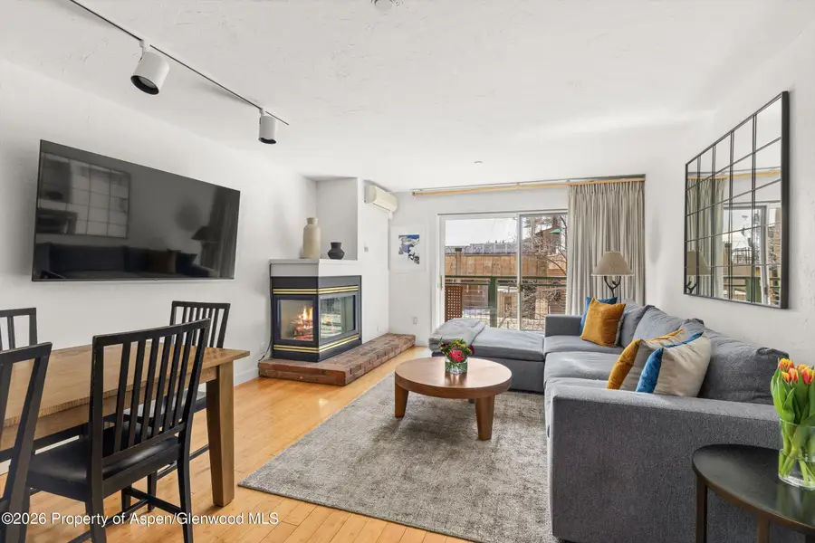 555 E Durant Avenue #2c, Aspen, CO 81611 - #2