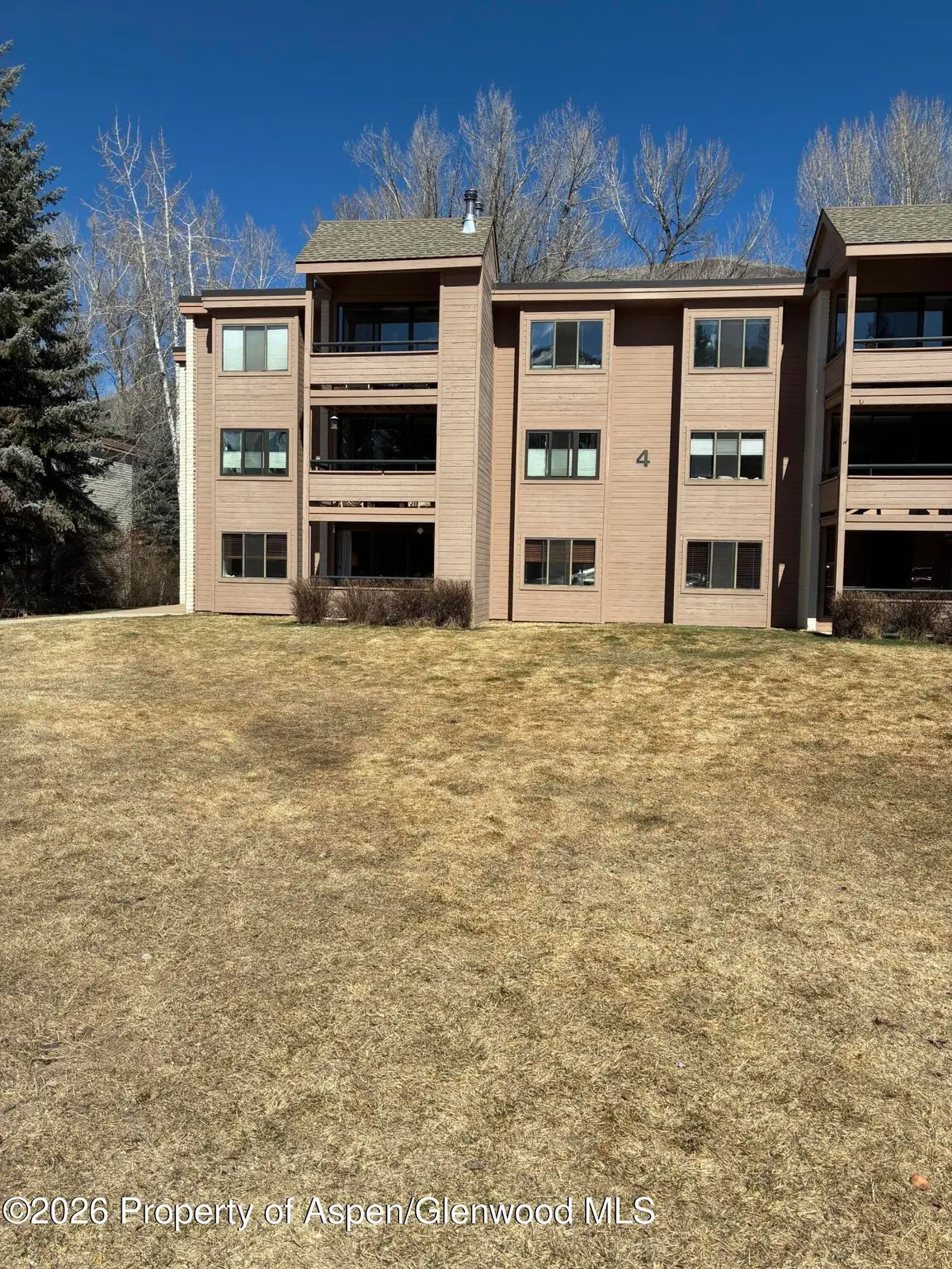 422 Vine Street #422, Aspen, CO 81611 - #1