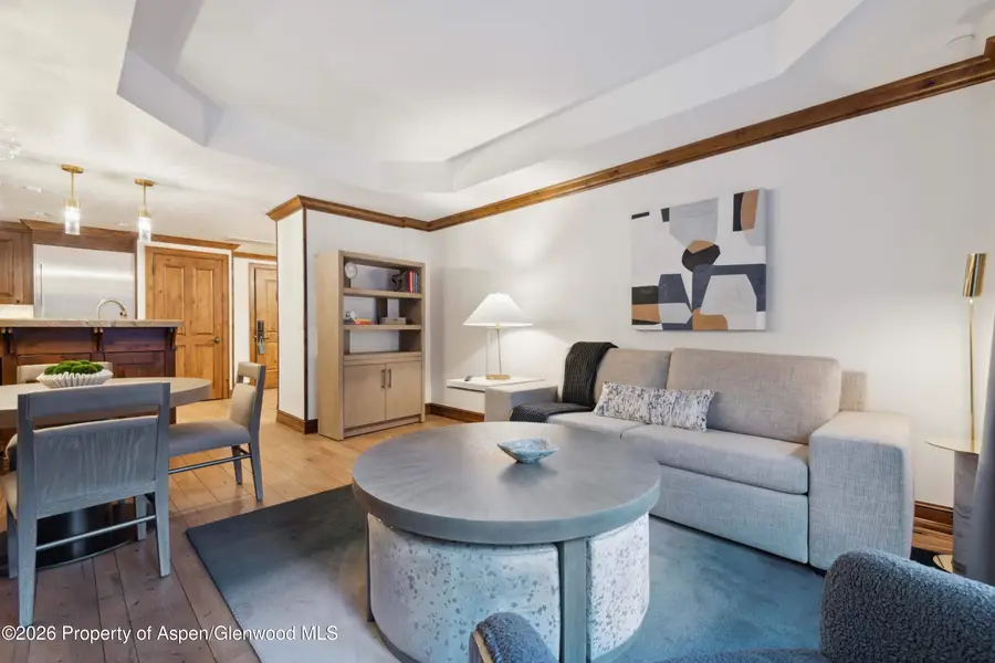 415 E Dean St, Unit 43, Wks 11 & 12, Aspen, CO 81611 - #3