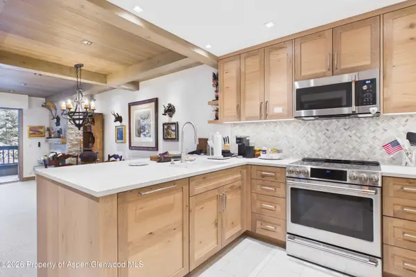 610 S West End Street #G201, Aspen, CO 81611