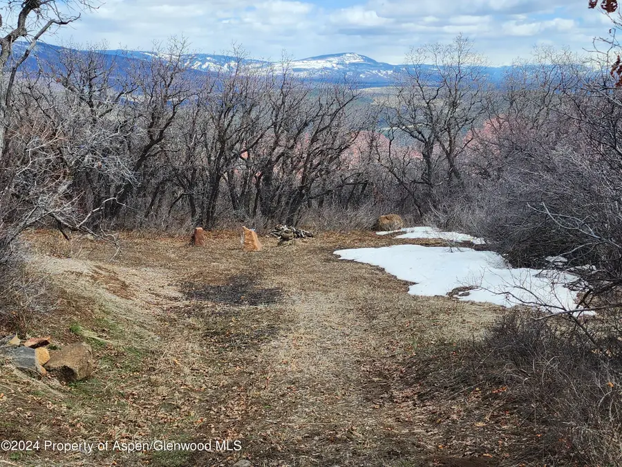 4500 Bear Wallow Lane, Glenwood Springs, CO 81601 - #3