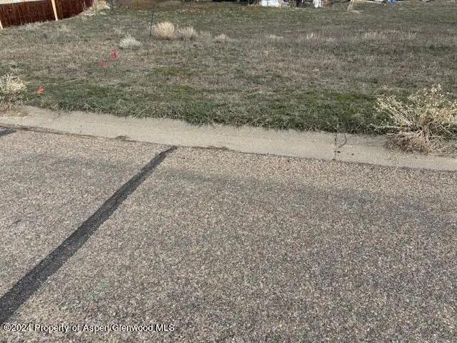 821 Van Dorn Drive, Craig, CO 81625 - #3