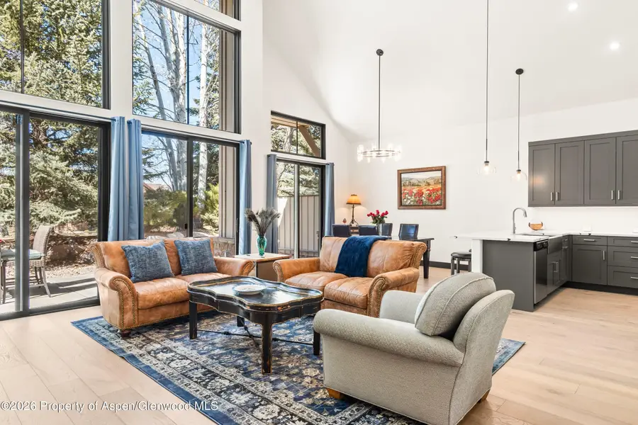 70 Golden Bear Drive, Carbondale, CO 81623 - #2