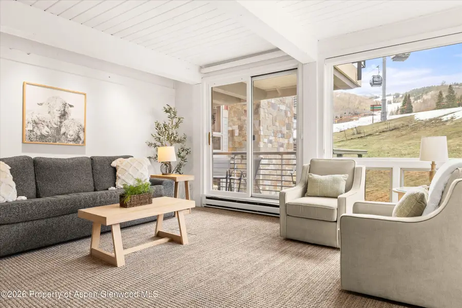 360 Wood Road #209, Snowmass Village, CO 81615 - #3