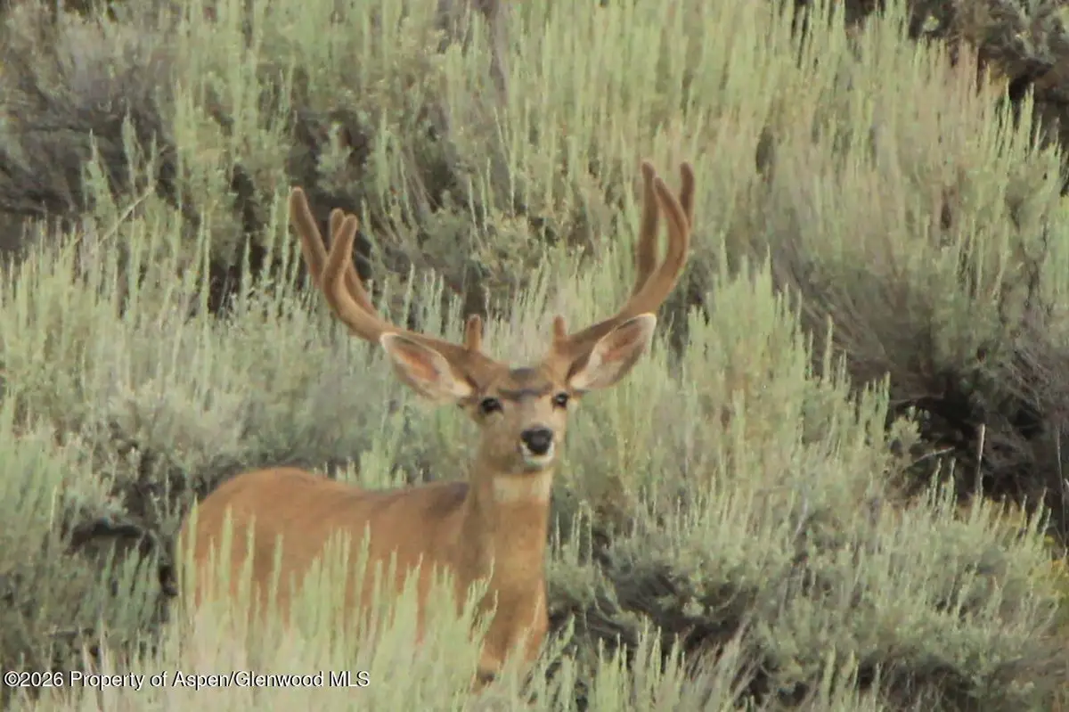 Tbd Highway 40, Craig, CO 81625 - #1