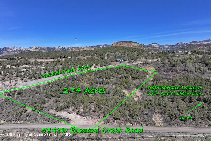 58450 Buzzard Creek Road, Collbran, CO 81624 - #2