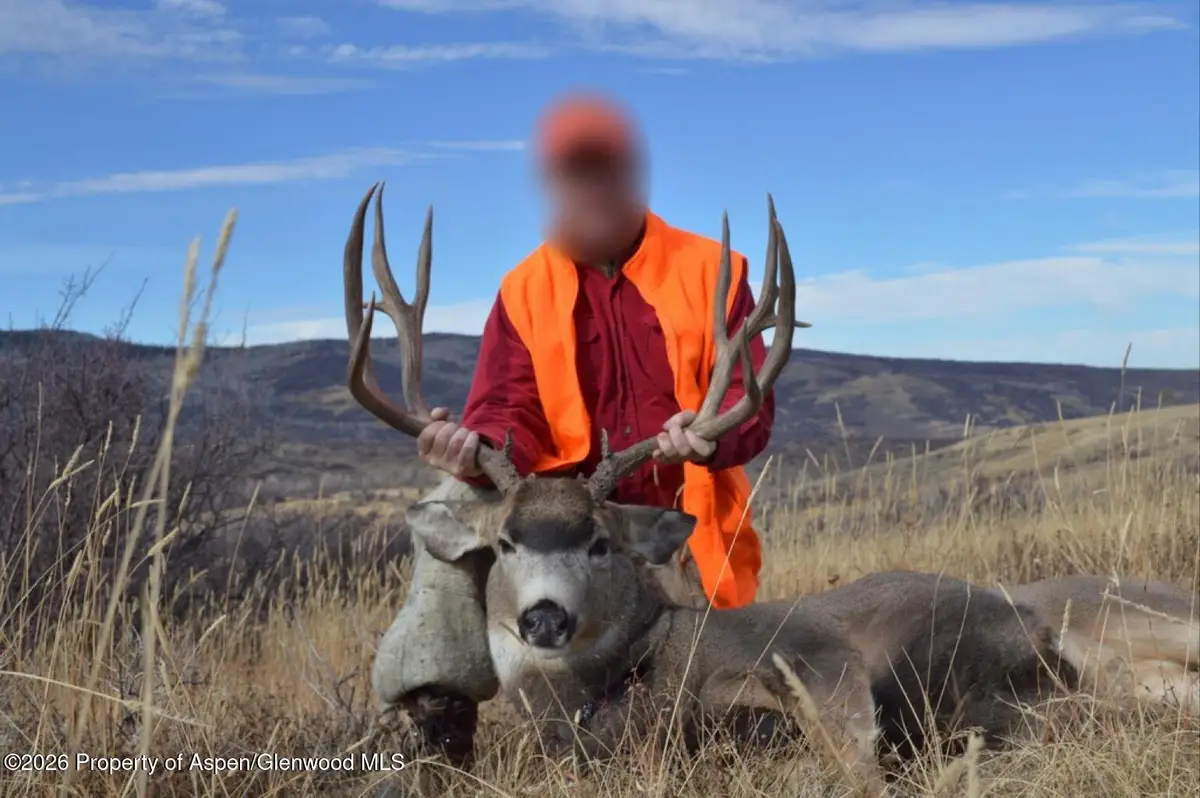 910 Slater Way Road Road, Craig, CO 81625 - #1