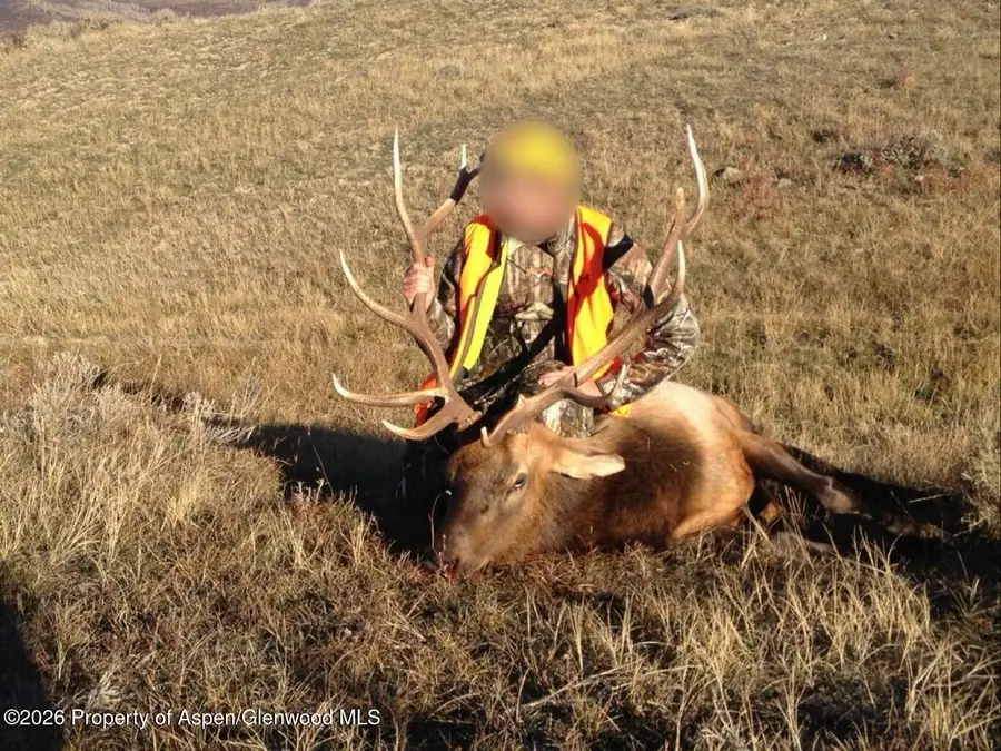 910 Slater Way Road Road, Craig, CO 81625 - #3