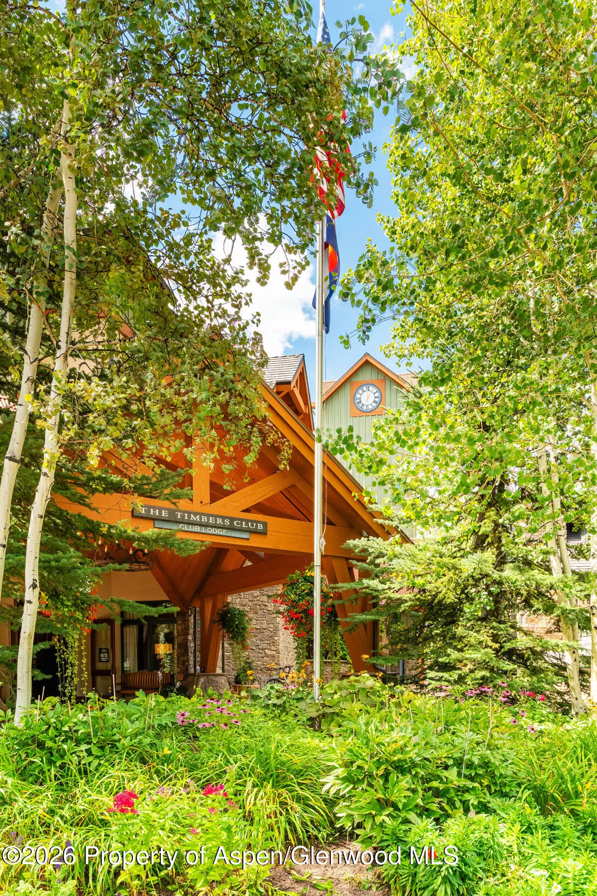 126 Timbers Club Court #L1-Iv, Snowmass Village, CO 81615 - #1