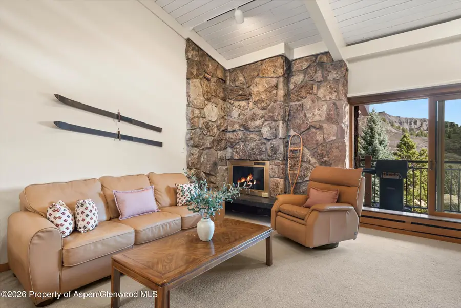 30 Anderson Lane #826, Snowmass Village, CO 81615 - #3