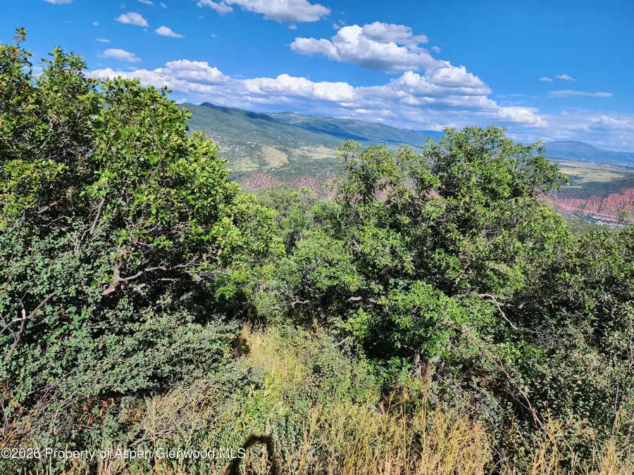 4700 Bear Wallow Lane, Glenwood Springs, CO 81601 - #3