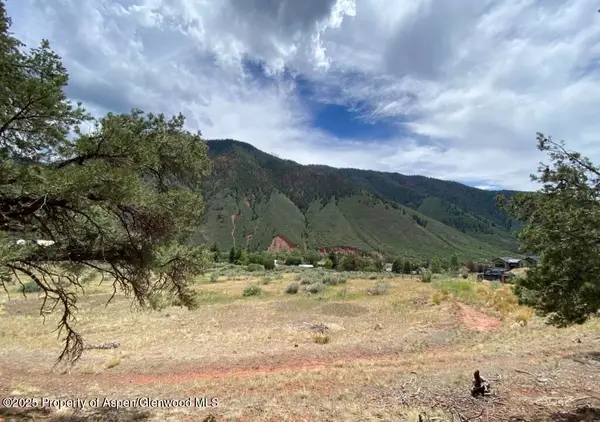 1200 Frying Pan Road, Basalt, CO 81621