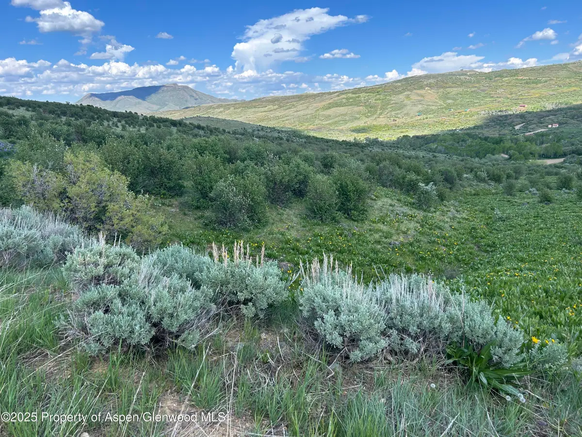 1445 Sprout Drive, Craig, CO 81625 - #1