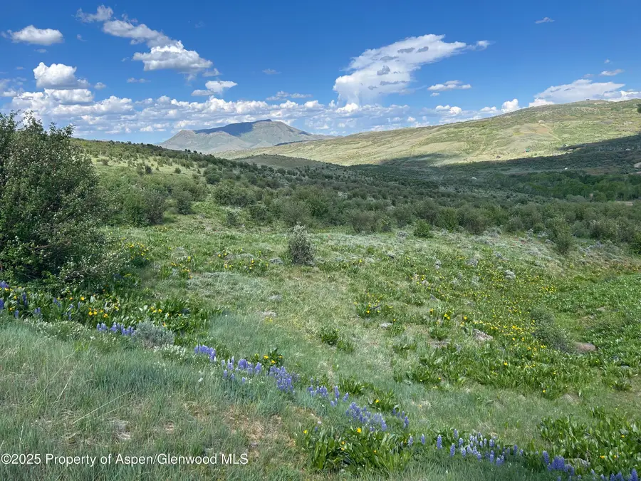 1445 Sprout Drive, Craig, CO 81625 - #3