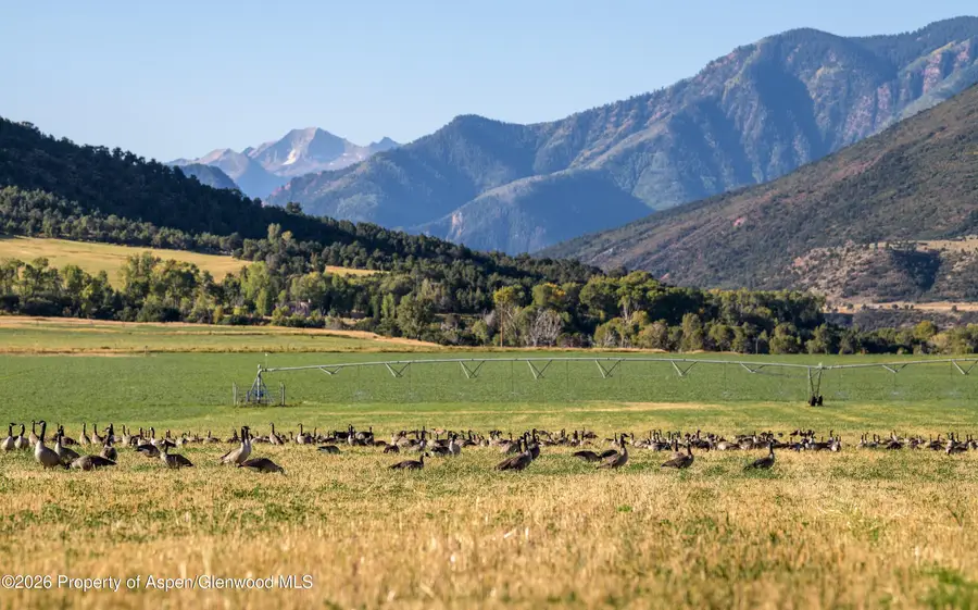 1625 Prince Creek Road, Carbondale, CO 81623 - #3