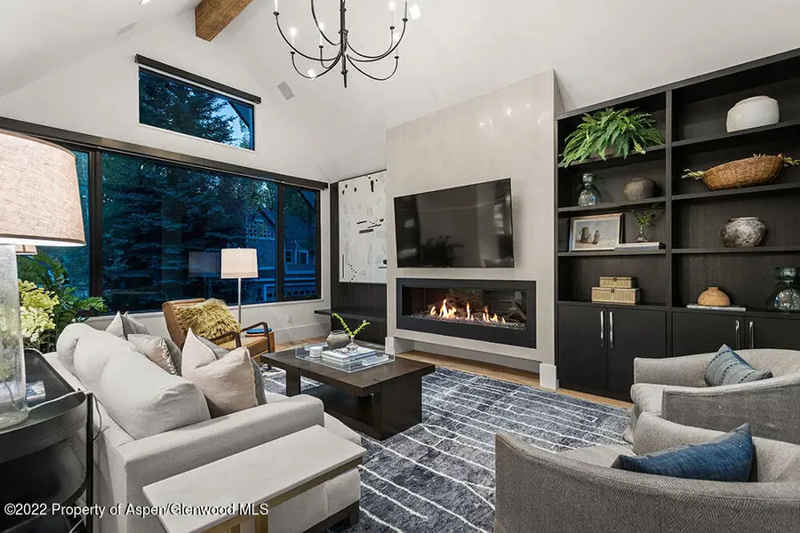 709 W Hallam Street, Aspen, CO 81611 - #2