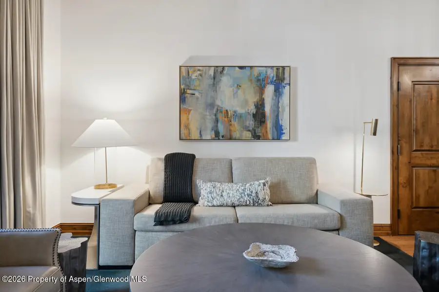 415 E Dean St, Unit 5, Week 5, Aspen, CO 81611 - #3
