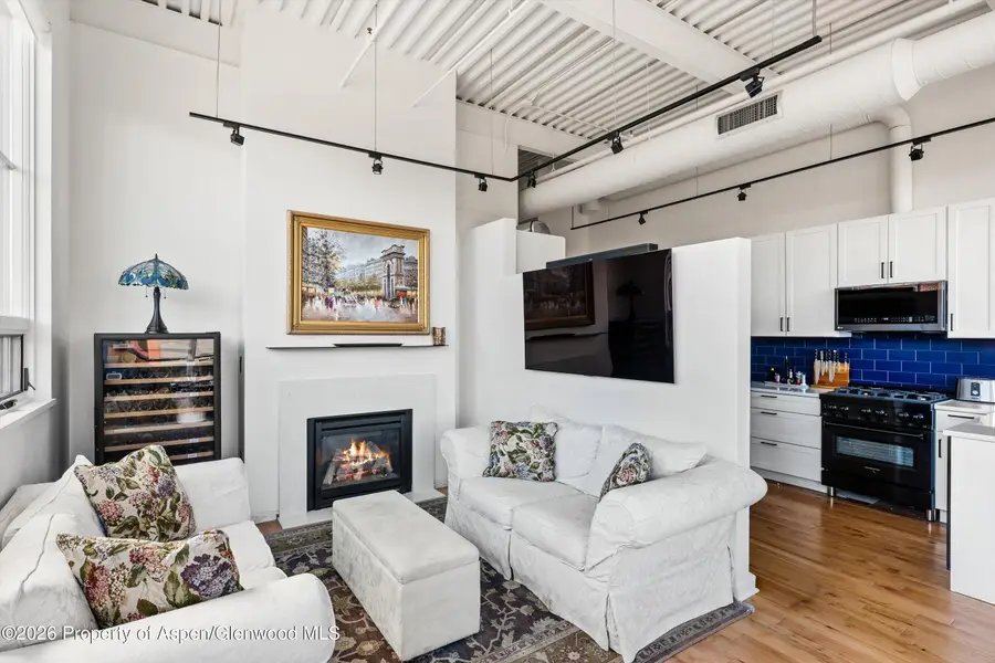 361 Robinson Street #208, Basalt, CO 81621 - #3