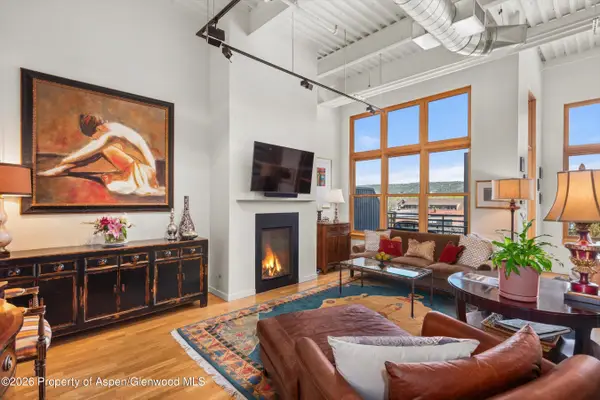 231 Robinson Street #318, Basalt, CO 81621