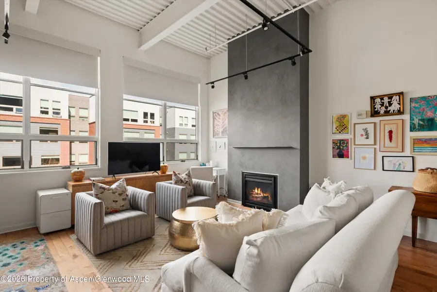 361 Robinson Street #240, Basalt, CO 81621 - #2