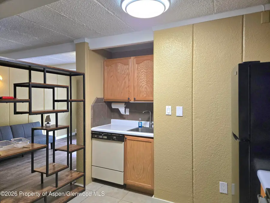 11101 County Road 117 #B6, Glenwood Springs, CO 81601 - #3