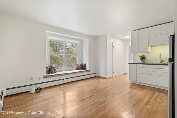 415 Pacific Avenue #C, Aspen, CO 81611
