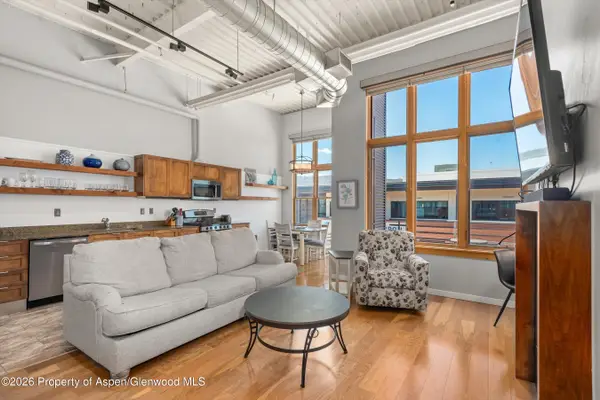 231 Robinson Street #310, Basalt, CO 81621