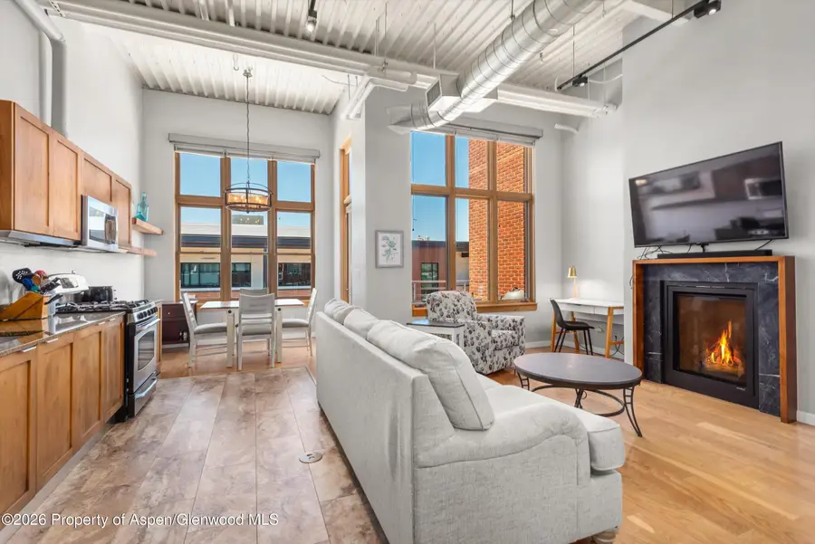 231 Robinson Street #310, Basalt, CO 81621 - #2