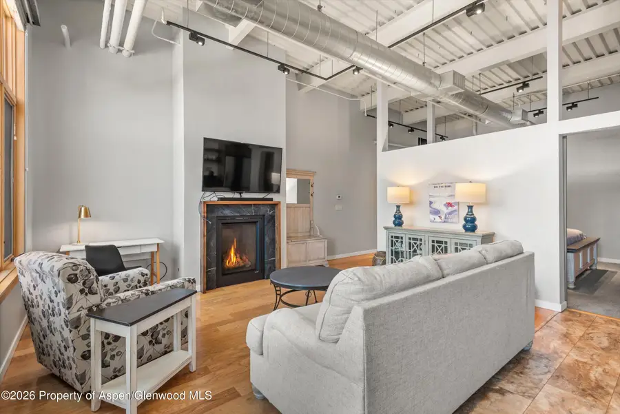 231 Robinson Street #310, Basalt, CO 81621 - #3